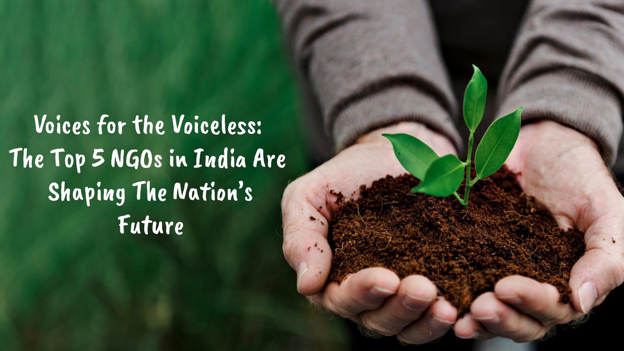 The Top 5 NGOs in India Are Shaping The Nation’s
Future Cafes in Noida